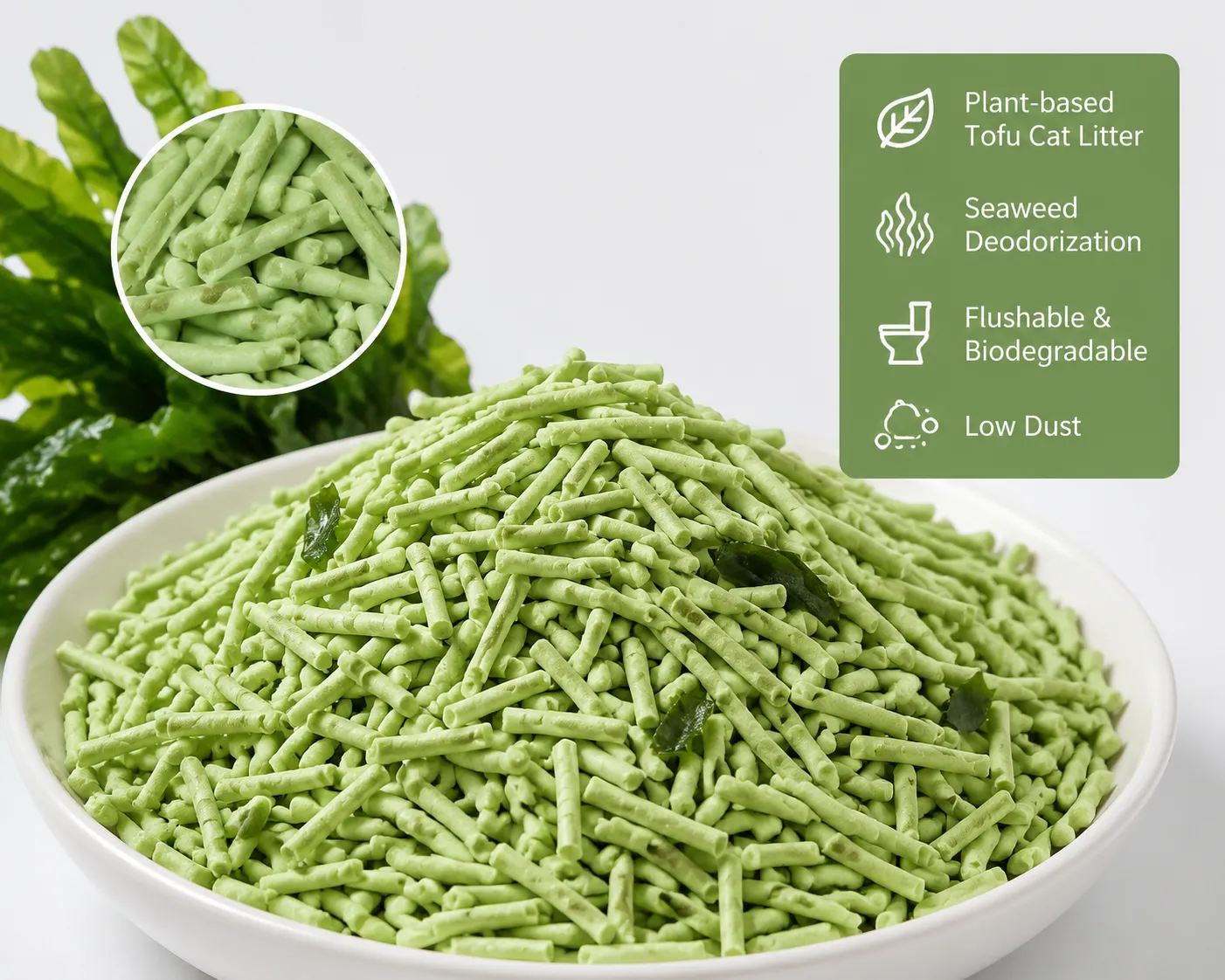 Litière tofu longue bande aux algues – Une innovation naturelle pour le bien-être des chats
